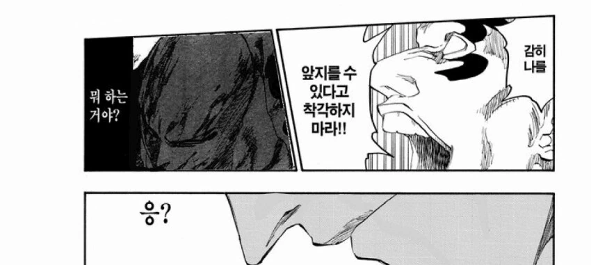 블리치) 마침내 해방되는 《만해》.manga