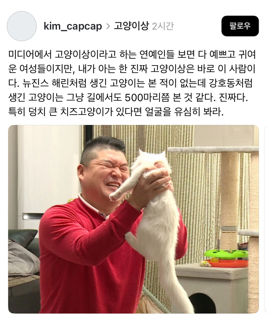 진짜 고양이상 얼굴.jpg