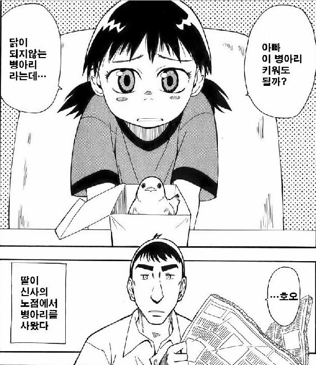 닭이 되지 않는 병아리를 사온 딸.manga