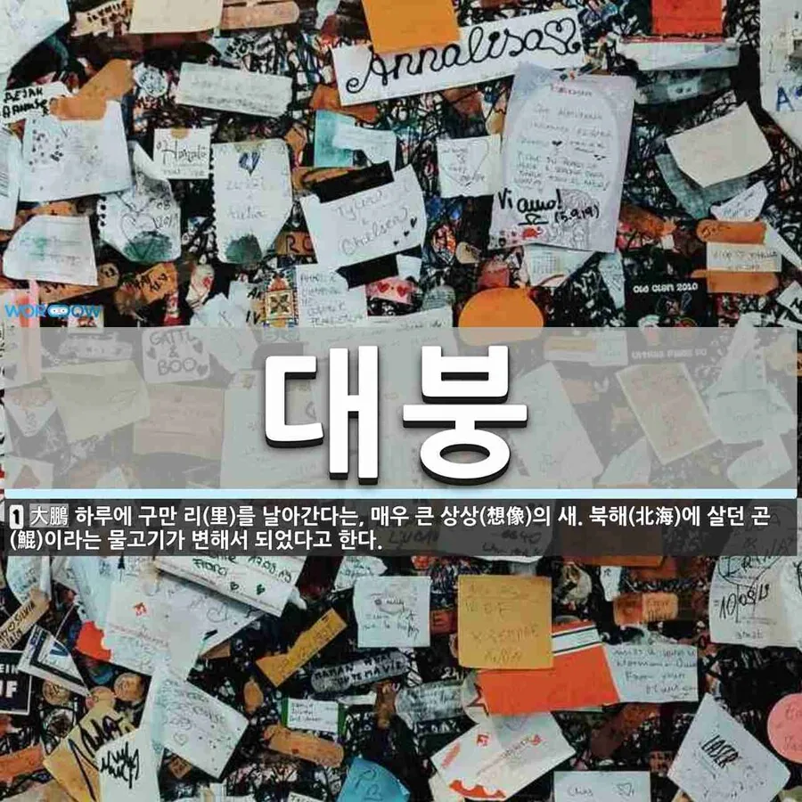 닭이 되지 않는 병아리를 사온 딸.manga - 이미지 3