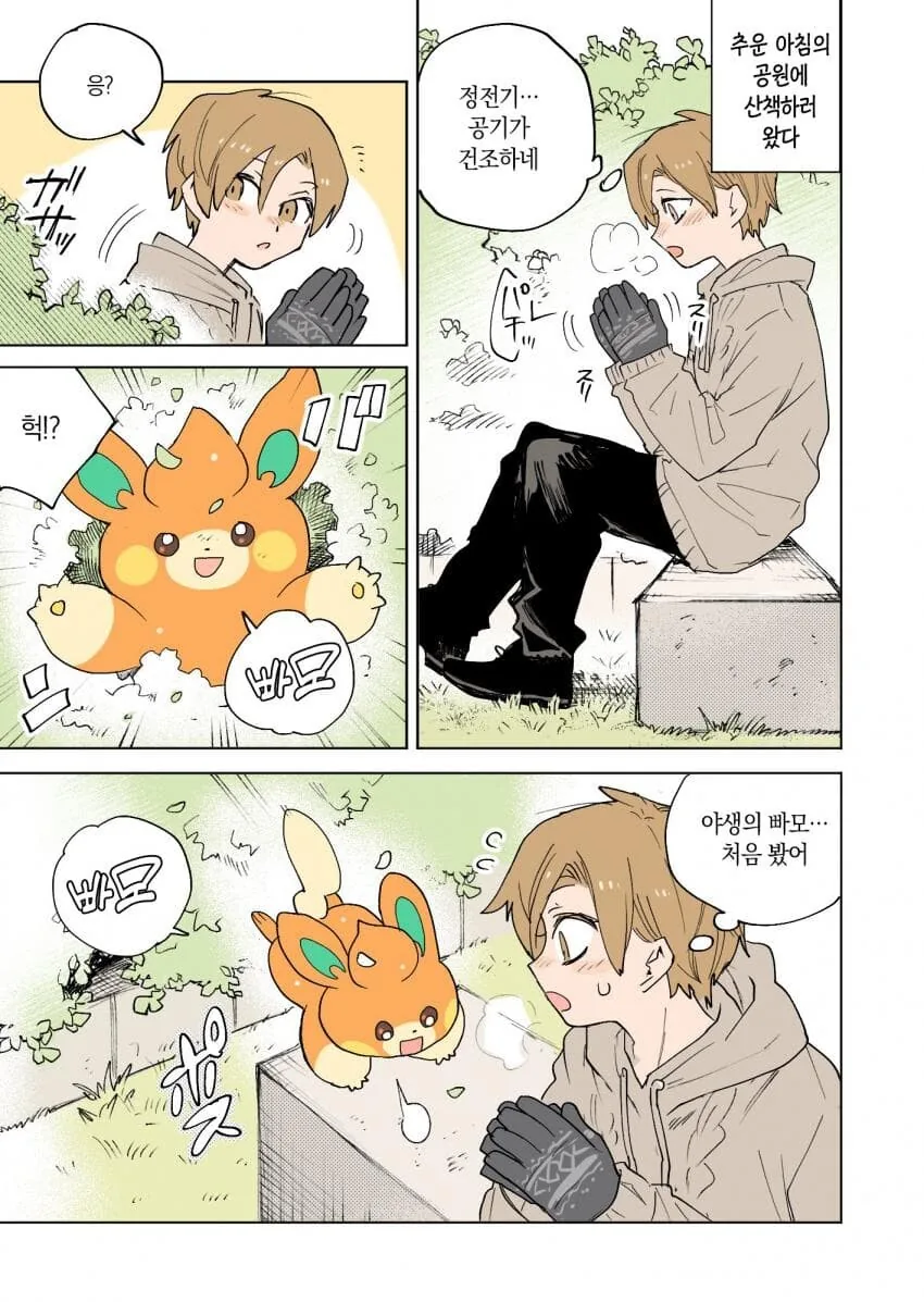 포켓몬) 포켓몬과의 일상.manwha