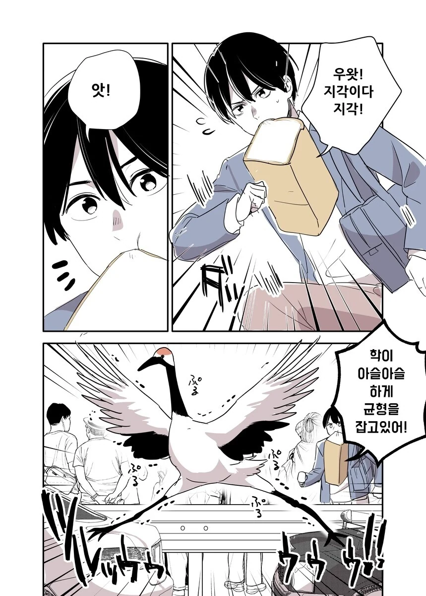 비둘기가 은혜갚는.manwha