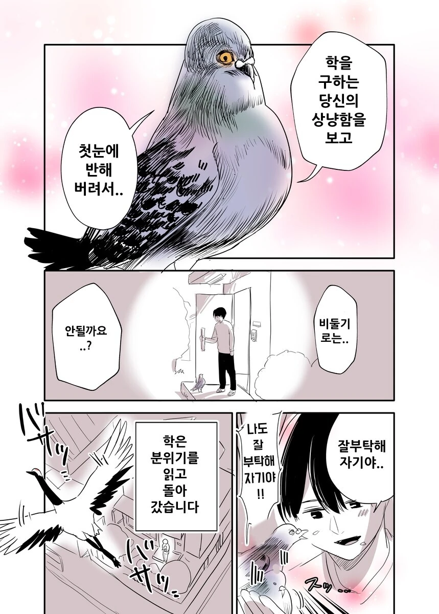 비둘기가 은혜갚는.manwha - 이미지 4