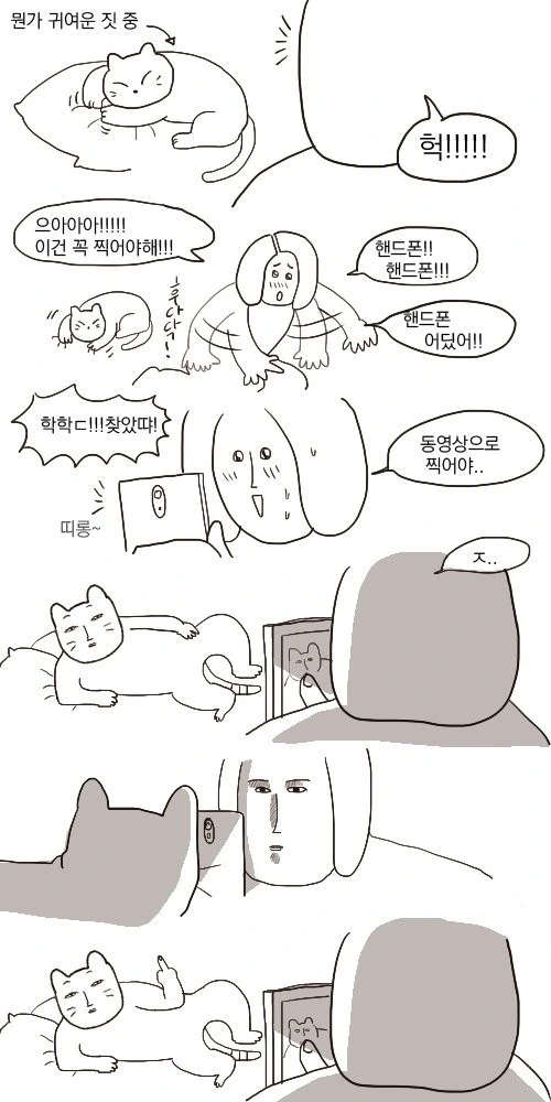 귀여운 고양이 사진 찍는 만화