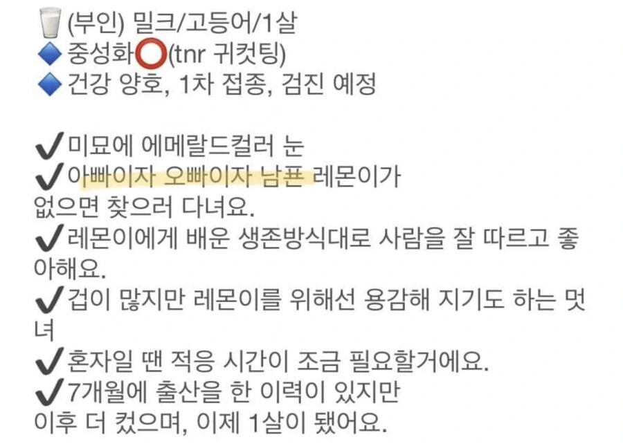 아빠이자 오빠이자 남편.manga
