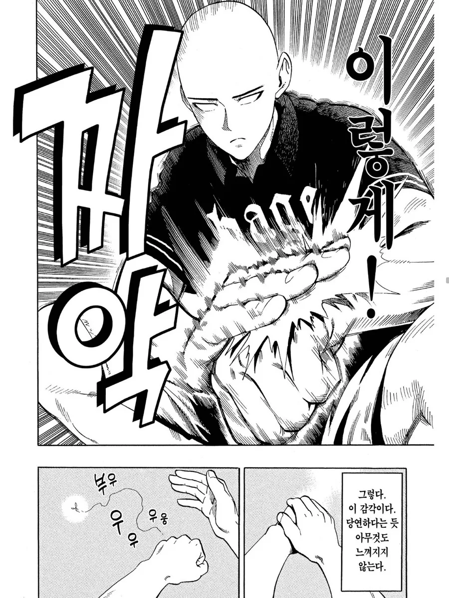 원펀맨)사이타마 빼고 음속의 소닉보다 빠른 존재.manga