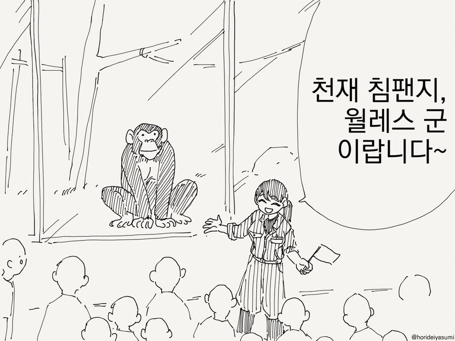 천재 침팬지 윌레스 군.manhwa