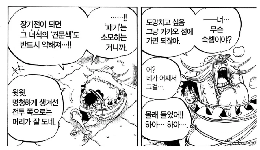 원피스) 조로가 빡대갈인 점