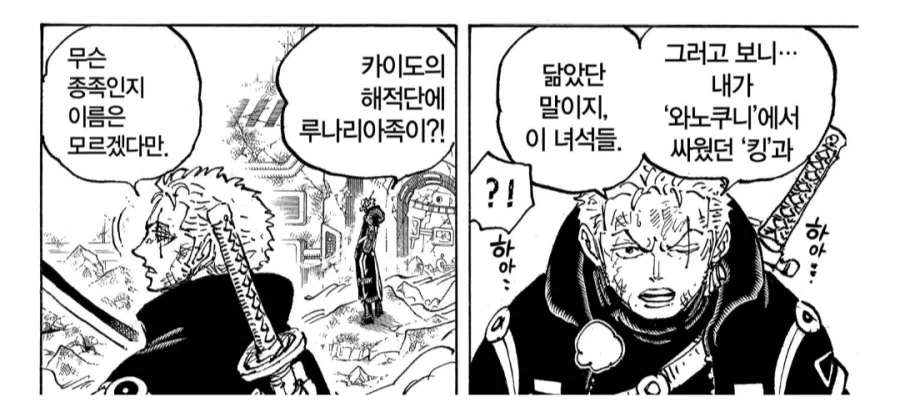 원피스) 조로가 빡대갈인 점 - 이미지 2