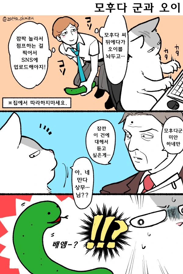 자고 일어 났더니 고양이가 되버렸다 냥 만화 - 이미지 16