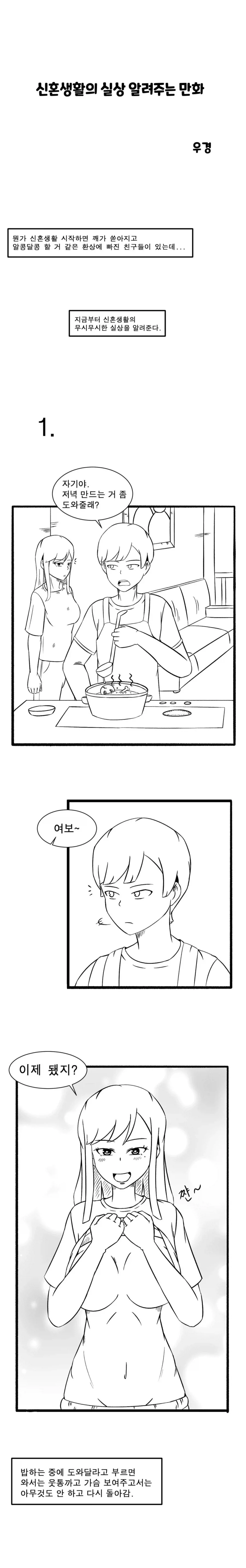 신혼생활 환상깨부수는 만화