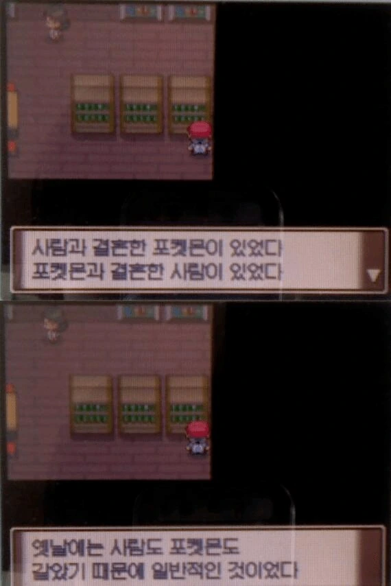 포켓몬)캐러멜색 눈동자를 한 울머기 이야기.mamwha - 이미지 10