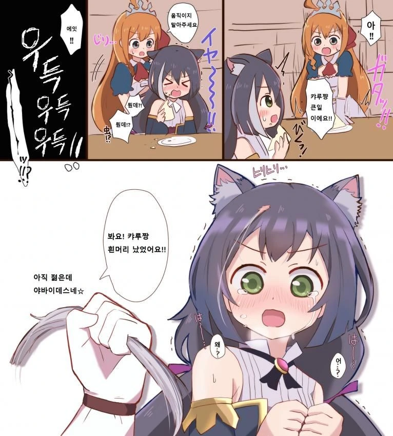 캬루 흰머리 뽑는 만화