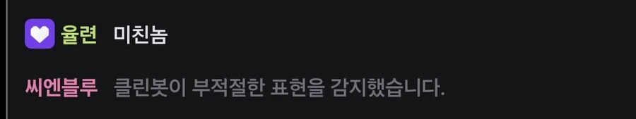 렌탈여친)라이브 채팅 요약