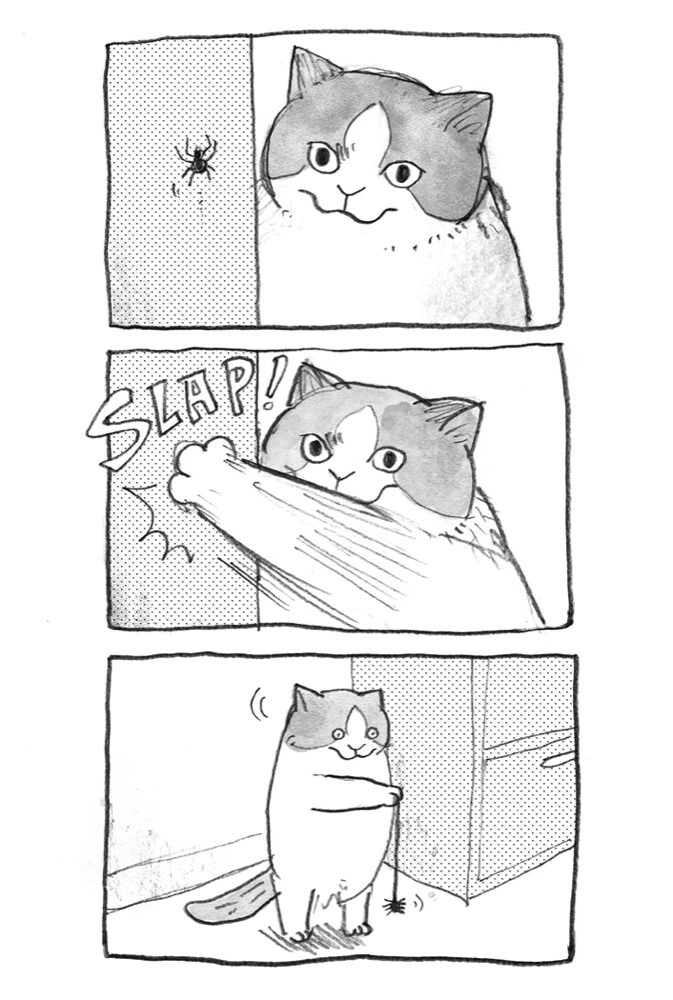 고양이와 요요 manhwa