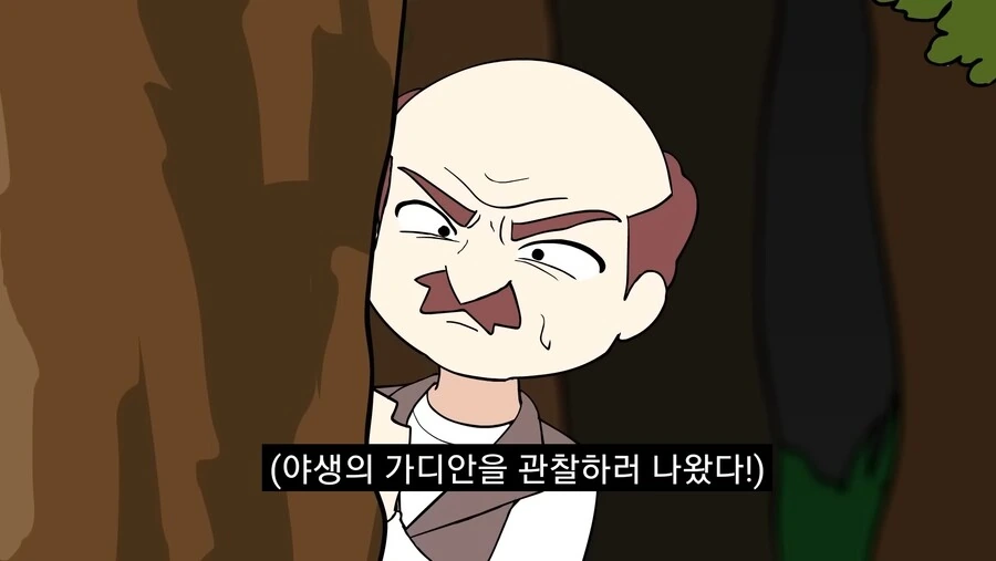 포켓몬) 가디안과의 결혼을 허락해주세요.manwha - 이미지 15