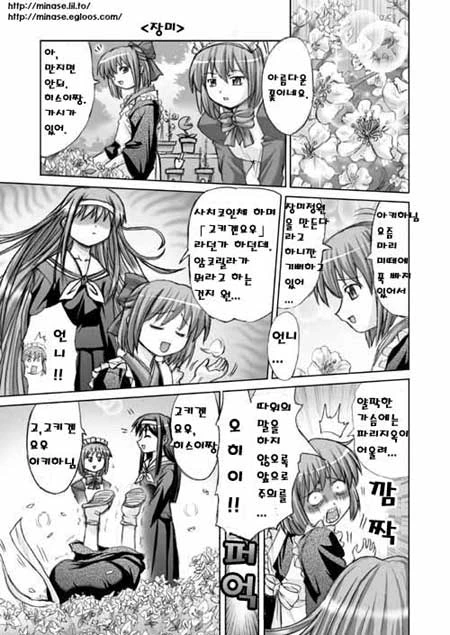 [월희] 장미