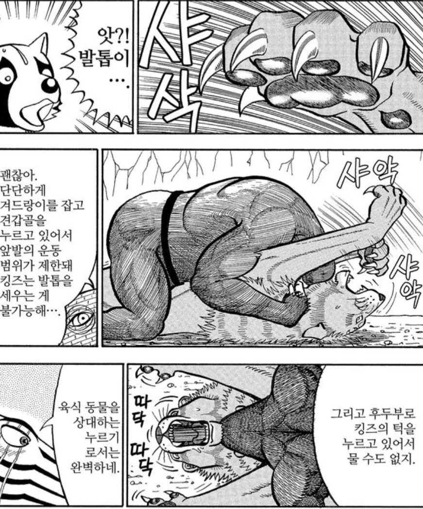 사자에게 인간의 무술이 절대 먹히지 않는 이유.manwha - 이미지 2