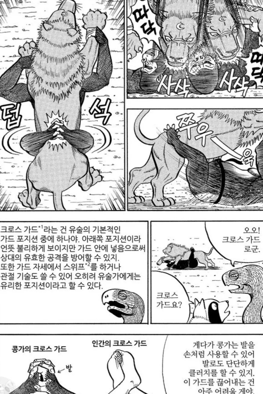 사자에게 인간의 무술이 절대 먹히지 않는 이유.manwha - 이미지 8