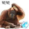 당분땡길때는 역시 Boy Meets Girl - 이미지 6