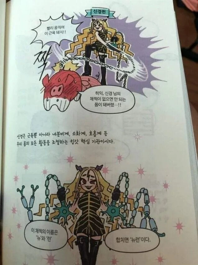 과학 학습 만화