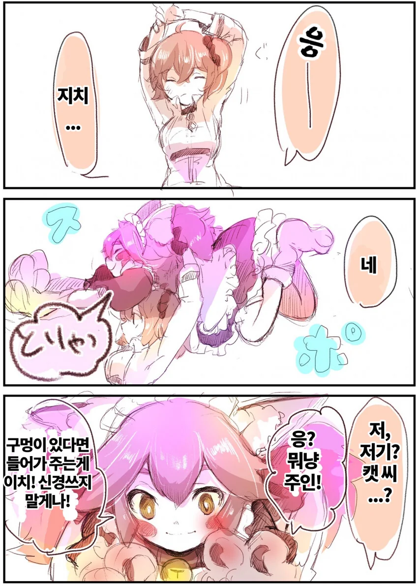 페그오) 구멍이 있으면 들어가는 캣 타마모.manwha