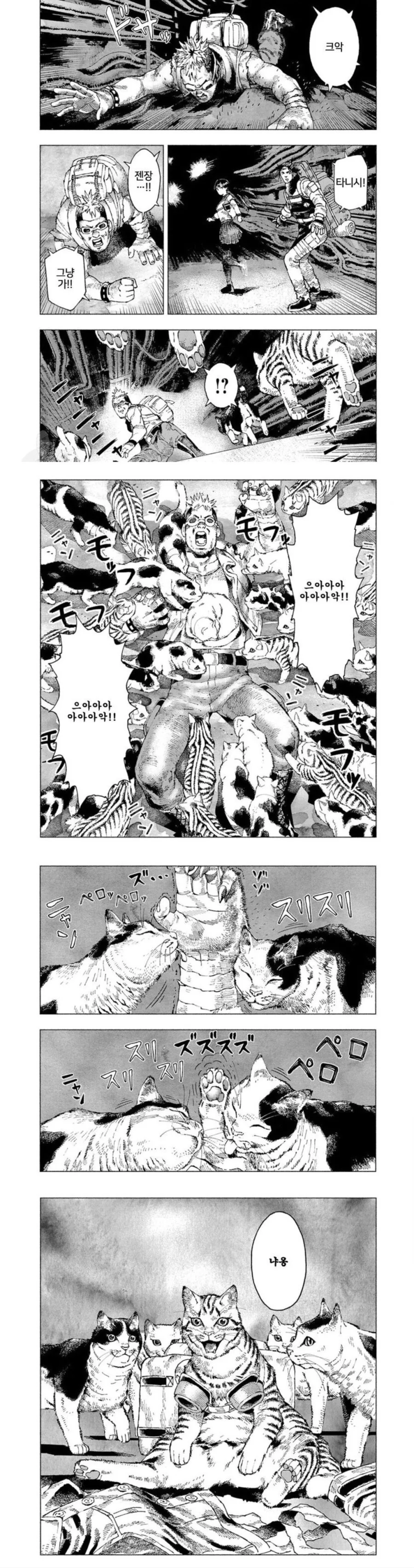 길고양이들에게 결국 잡히는.manhwa