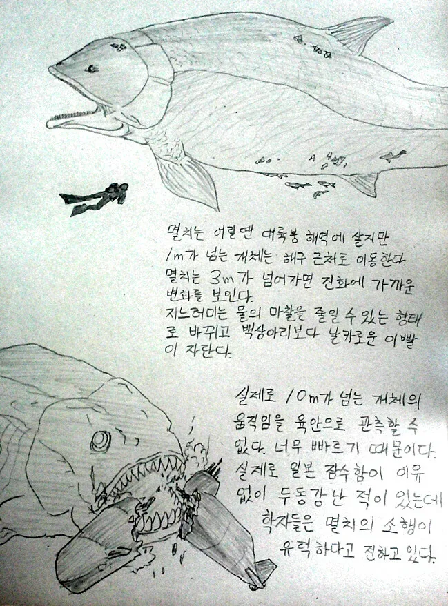 신비한 멸치의 생태.manhwa - 이미지 3