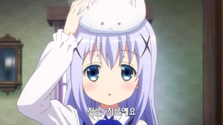 주문토끼)치노의 변화