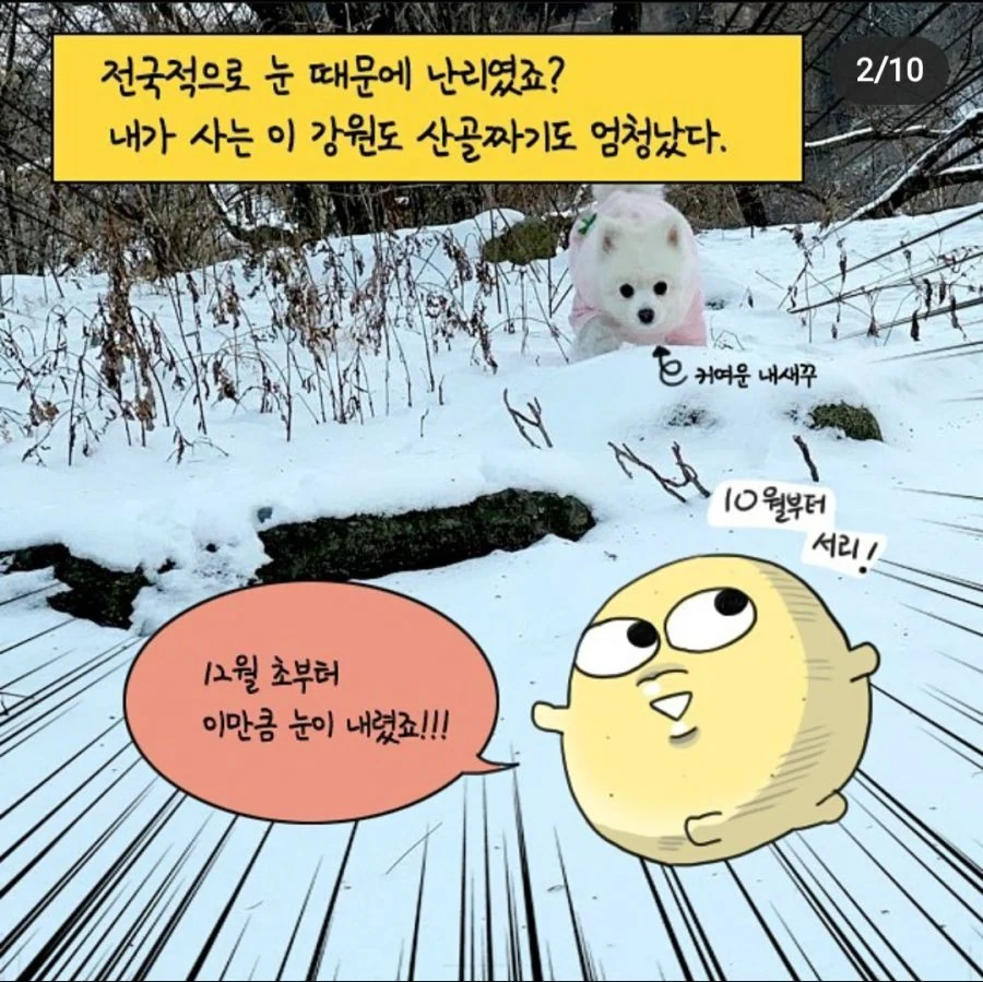 강원도민이 바라보는 군인 제설작업.manhwa